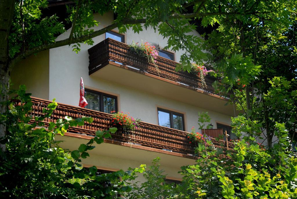 Fruehstueckspension Wiesenhaus Miesenbach  Extérieur photo