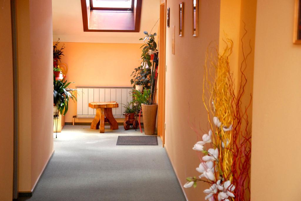 Fruehstueckspension Wiesenhaus Miesenbach  Extérieur photo